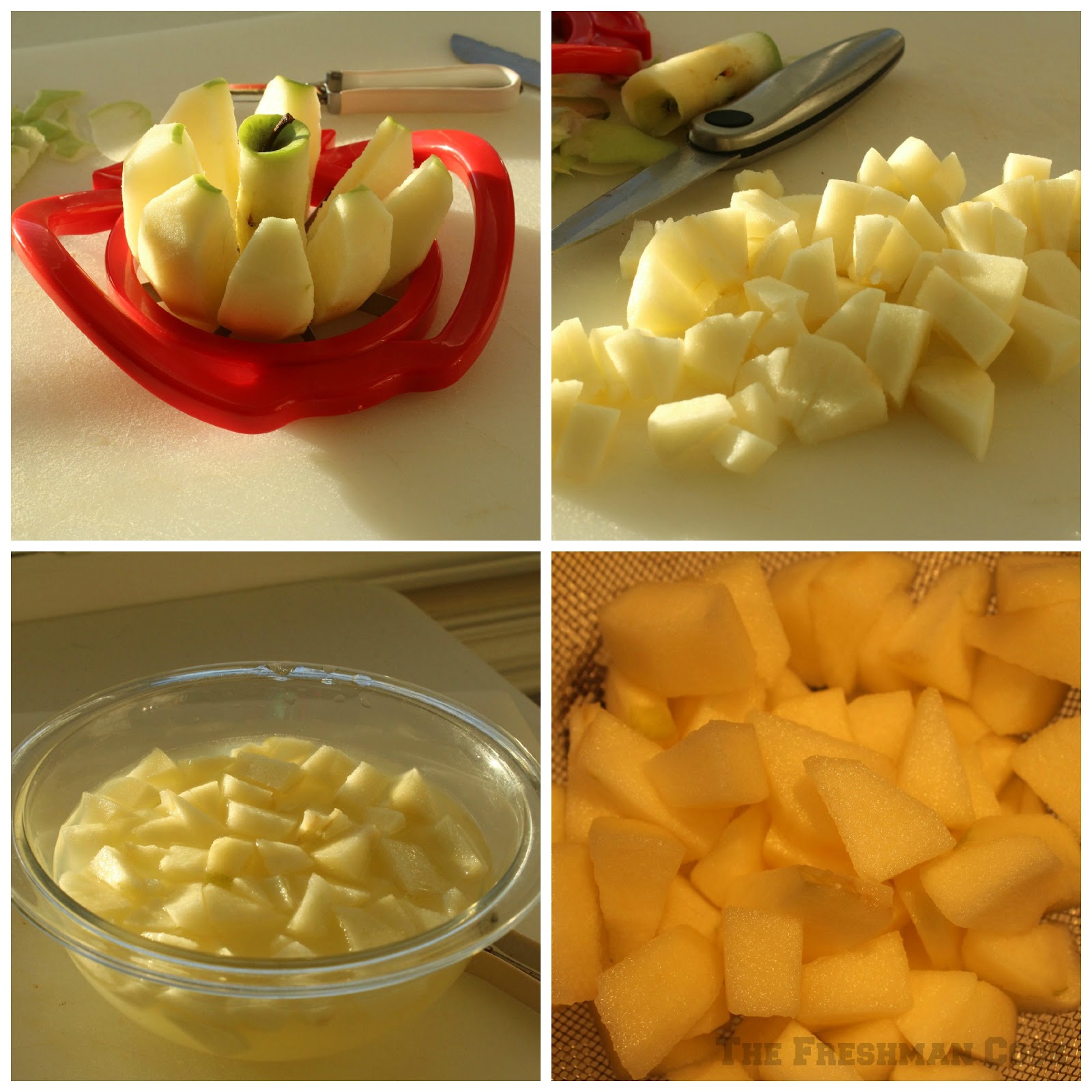 Peel and chop apples into small pieces. Toss with lemon juice and let sit for 10 minutes, then drain