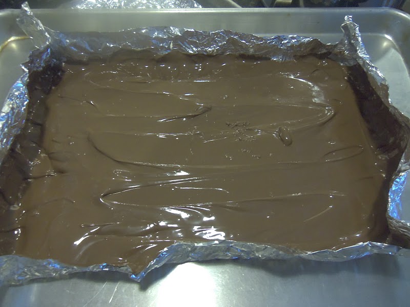 Pour the melted chocolate over the foil and spread it to form the chocolate panels. Allow the chocolate to dry completely.
