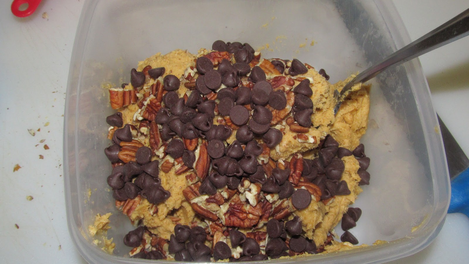 Fold in the chocolate chips and chopped pecans