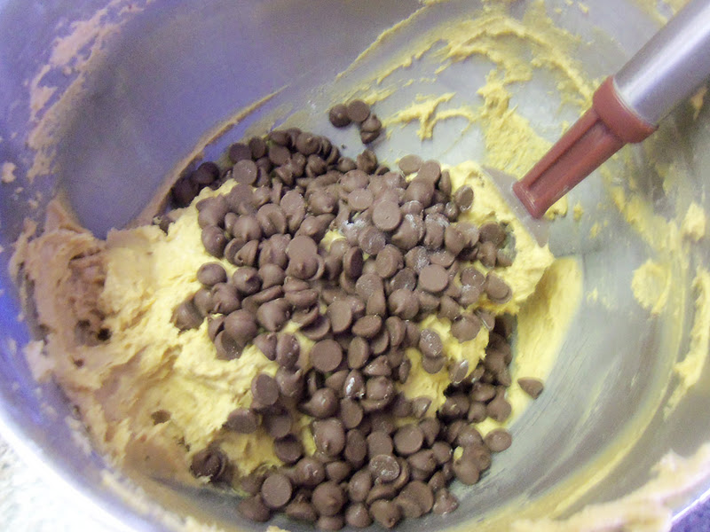 Fold in the chocolate chips