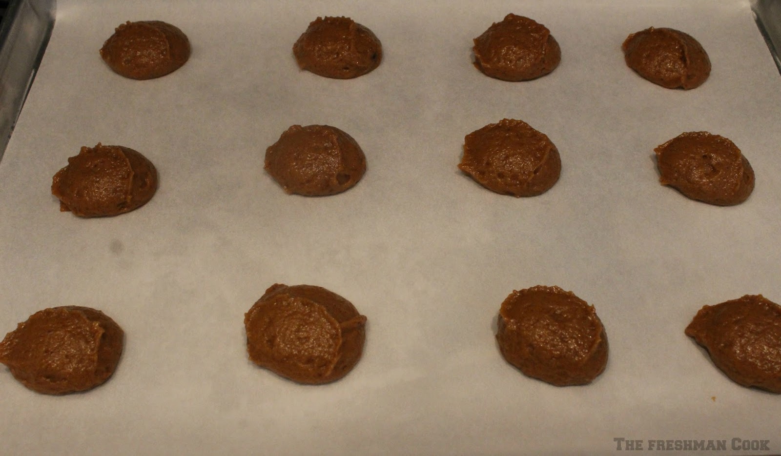 Using a 1-tablespoon scoop, place scoops of batter onto a parchment-covered cookie sheet