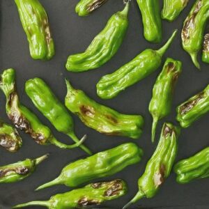 blistered shishito peppers recipe: a powerful taste sensation!